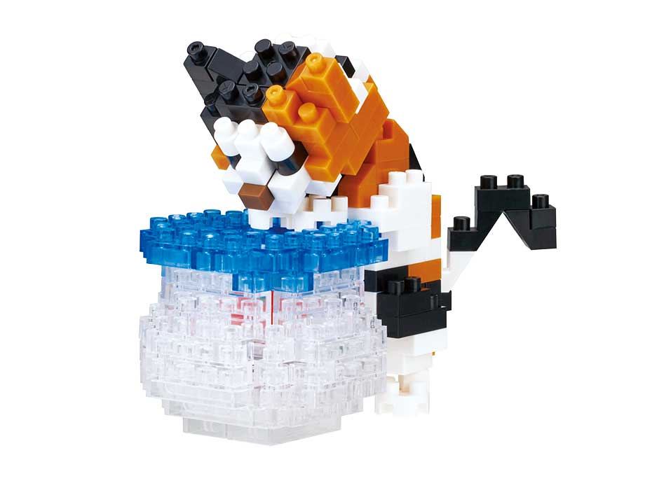 NBC_272 金魚鉢を覗く猫